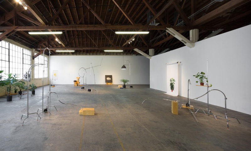 20150409 356 Tribe 008 891x481 1