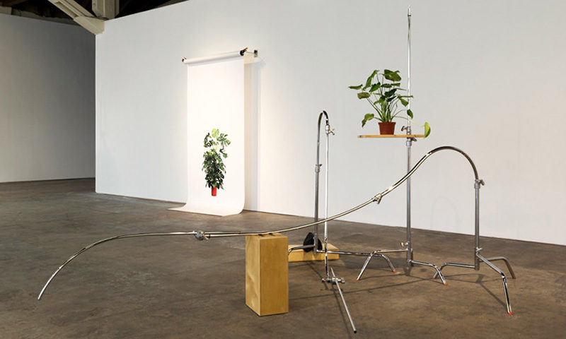 20150409 356 Tribe 033 891x594 copy 3