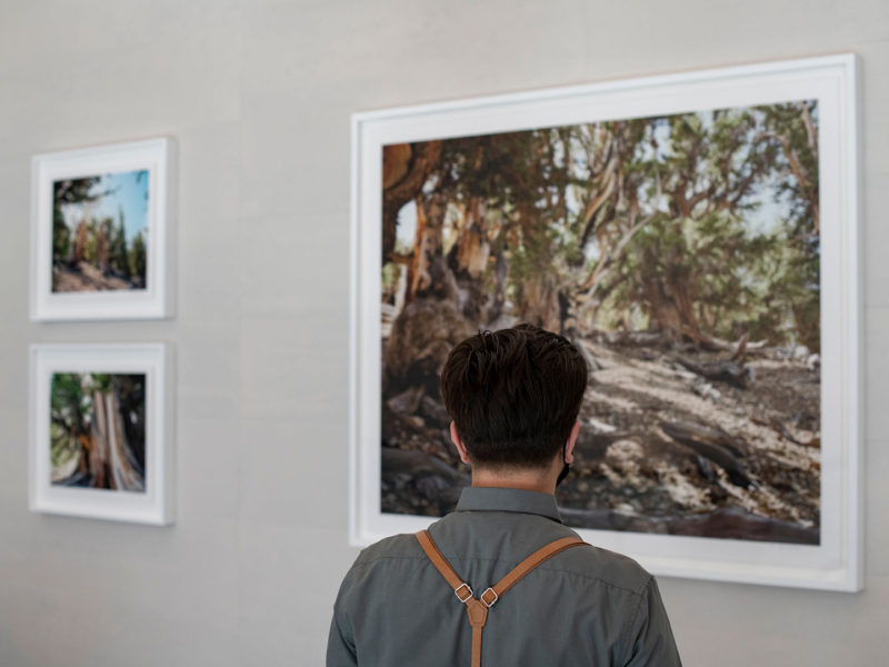 20220129 DW CNRA FinalArt 0124 B highres