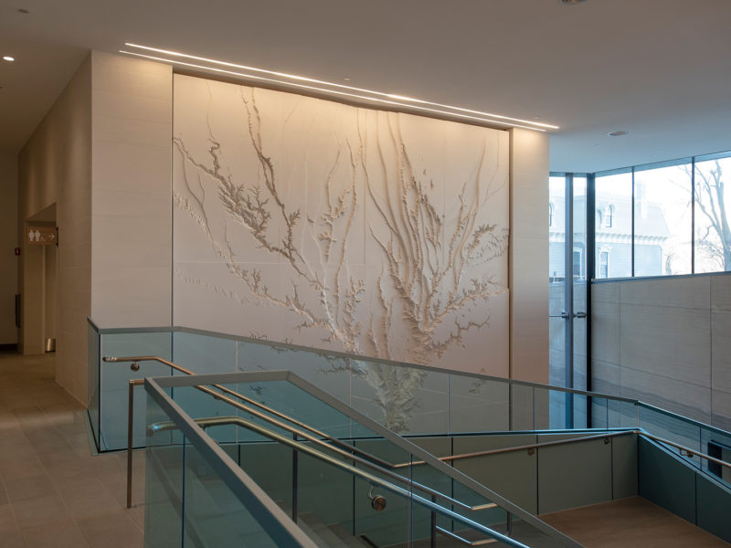 20220129 DW CNRA FinalArt 0234 B highres