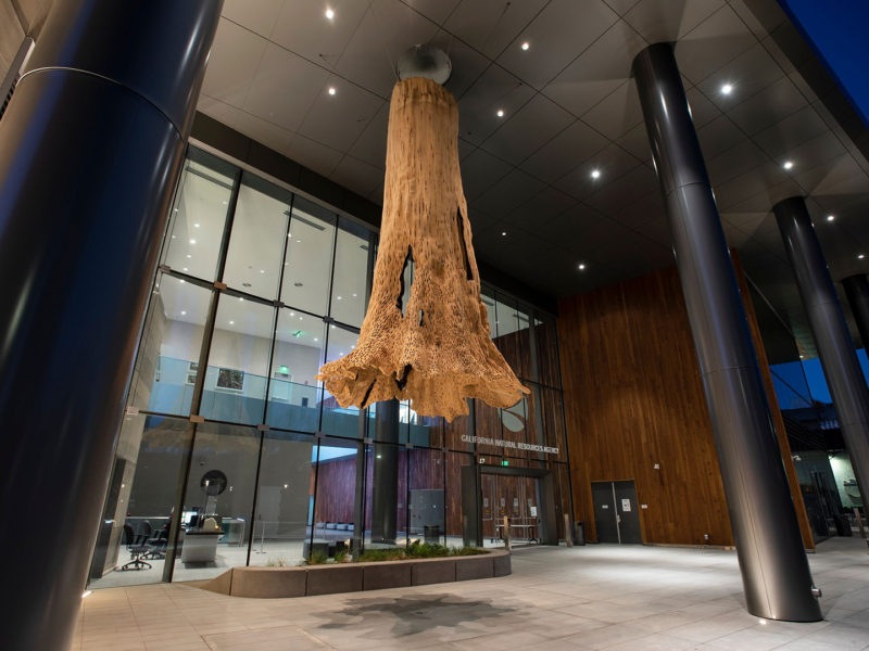 20220129 DW CNRA FinalArt 1178 B highres