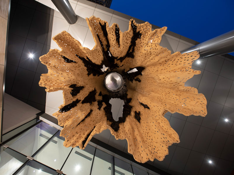 20220129 DW CNRA FinalArt 1190 B highres