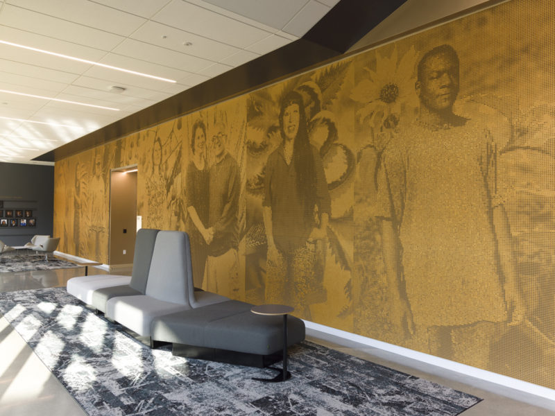 DysonWomac Montes 10