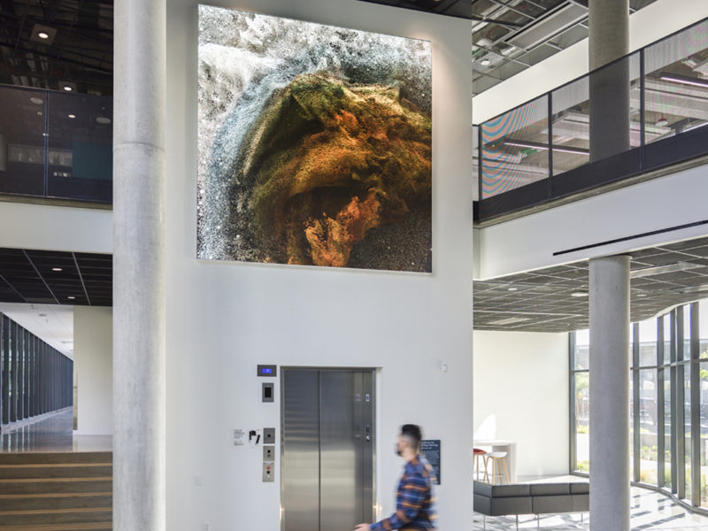 DysonWomack CARB Anadol 12