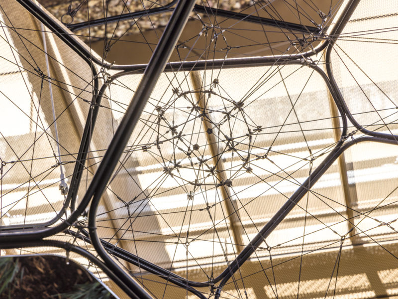 DysonWomack CARB Saraceno 06