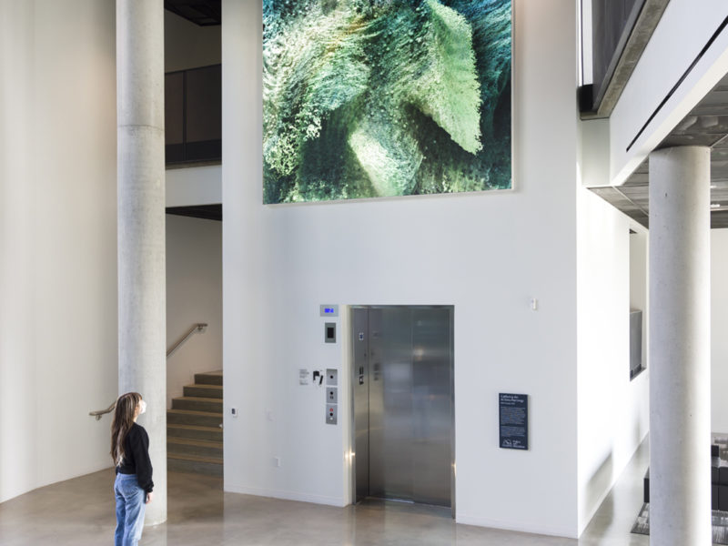 DysonWomack Anadol 11