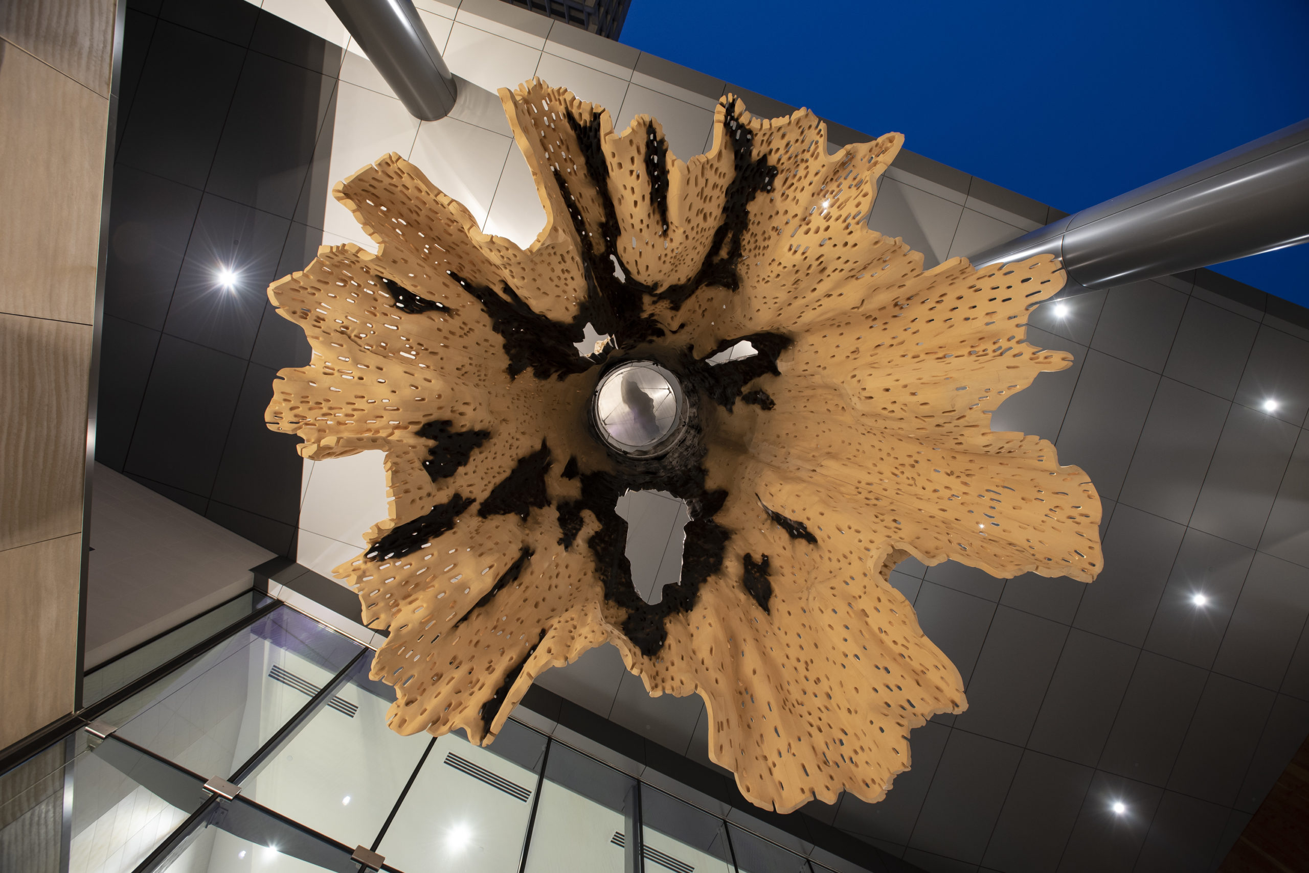 20220129 DW CNRA FinalArt 1190 B highres scaled