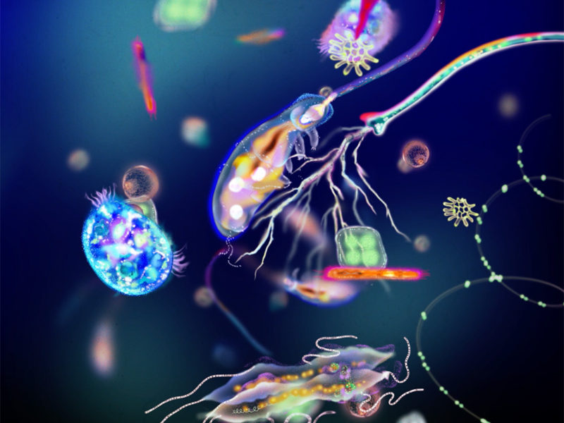 Danski Tang and Josh Shaffner Aqua Flux 4