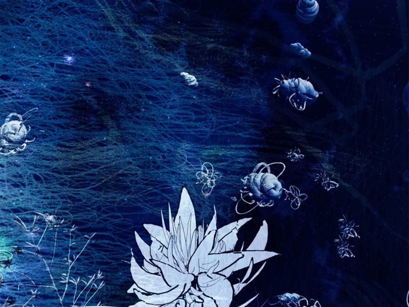 Elizabeth Leister Silent Gardens 2