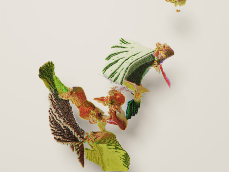 Maru Gacia Maura Palacios Hye min Cho Morphogenesis 1 4