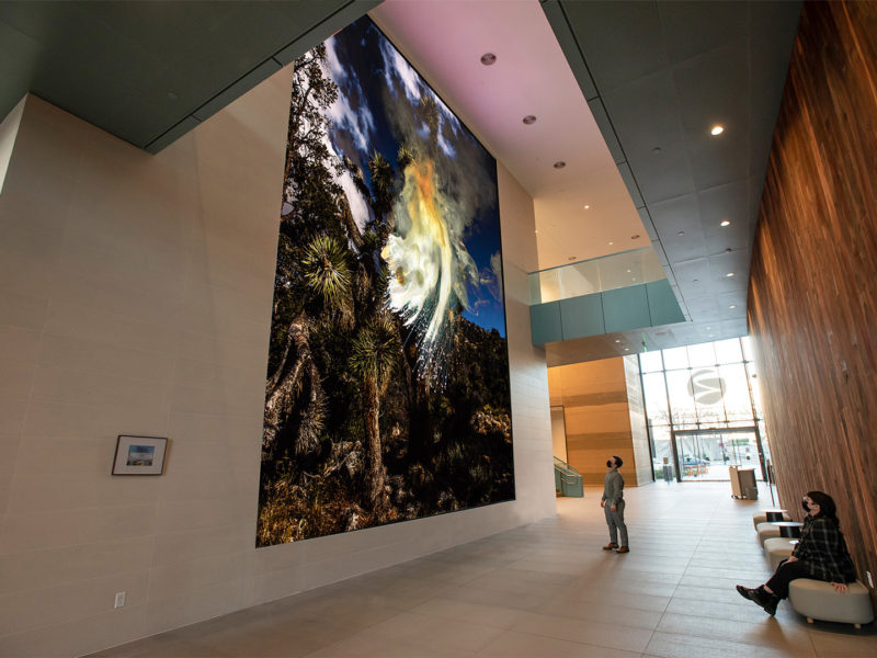 Media Wall Composit FINAL